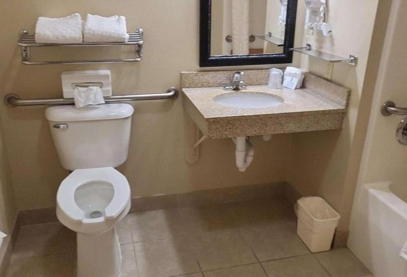 Люкс Адаптированный для Инвалидов, Best Western Wittenberg Inn