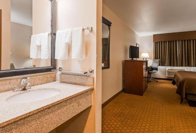 Номер Стандарт Адаптированный для Инвалидов, Best Western Wittenberg Inn