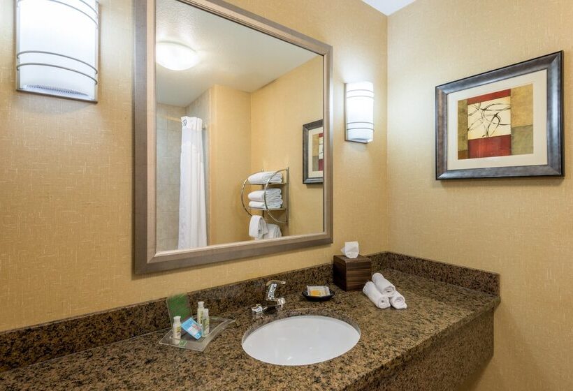Люкс Адаптированный для Инвалидов, Holiday Inn Casper East Medical Center, An Ihg