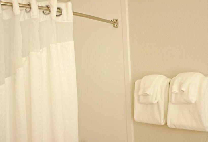 스탠다드 룸 킹사이즈 침대, Holiday Inn Express Winfield   Teays Valley, An Ihg