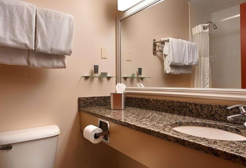 Номер Стандарт 2 Двуспальные Кровати, Silver Fox Inn