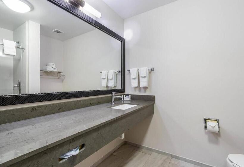 Номер Стандарт 2 Двуспальные Кровати, Fairfield Inn & Suites Columbia