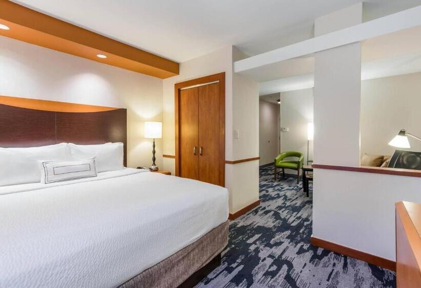 Студио Стандарт Кровать Кинг, Fairfield Inn & Suites Columbia