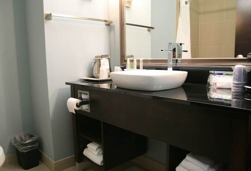 스탠다드 룸, Holiday Inn Express And Suites Corpus Christi North By Ihg