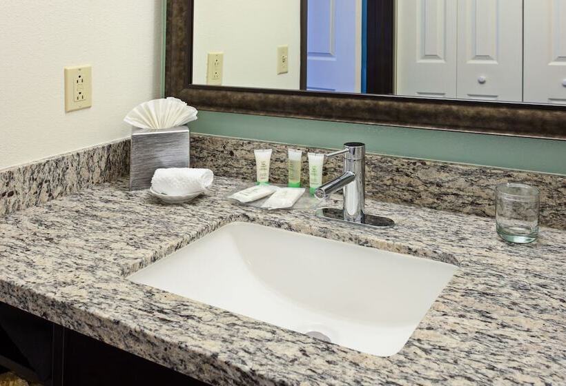 스위트, Staybridge Suites Irvine East/lake Forest, An Ihg