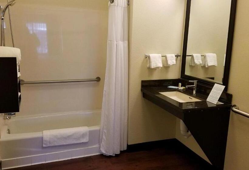 Стандартный Номер Кровать Кинг, Staybridge Suites Sioux Falls At Empire Mall, An Ihg