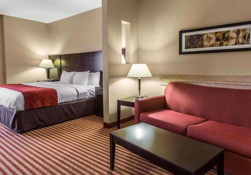 Люкс Кровать Кинг, Comfort Suites