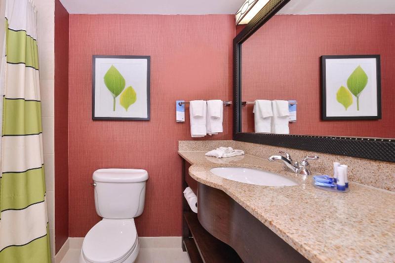 带大床的标准间, Fairfield Inn & Suites By Marriott Denver Aurora/parker