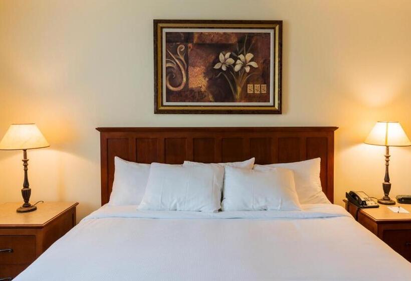 Стандартный Номер Кровать Кинг, Hôtel St Bernard