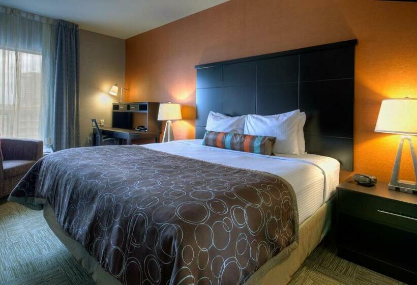 Escritório Estándar, Staybridge Suites Hamilton   Downtown, An Ihg
