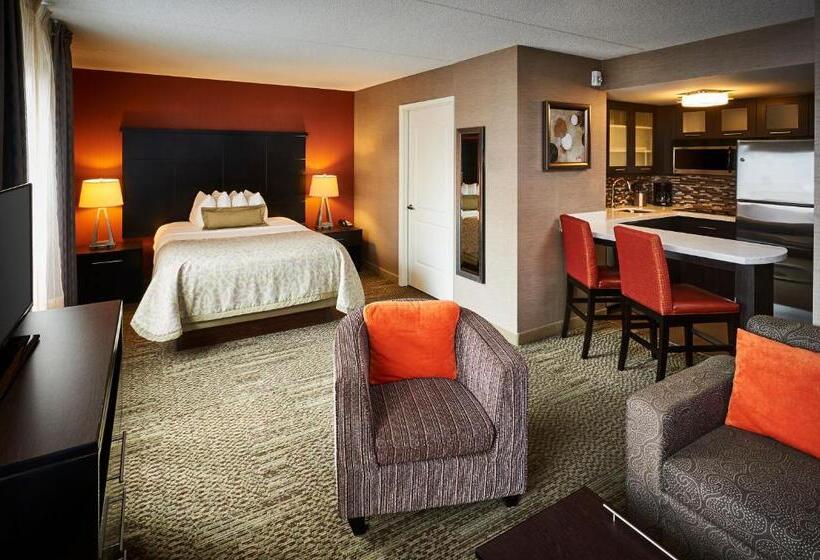 استودیوی استاندارد, Staybridge Suites Hamilton   Downtown, An Ihg