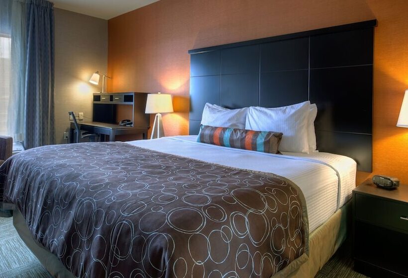 سوئیت 2 خوابه, Staybridge Suites Hamilton   Downtown, An Ihg