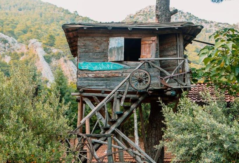 بانگلوی استاندارد, Kadir S Top Tree Houses