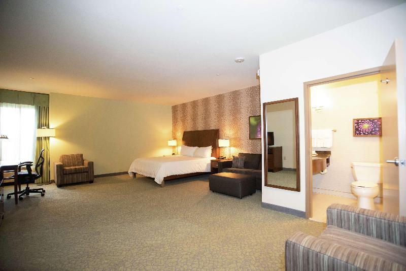 스탠다드 룸 킹사이즈 침대, Hilton Garden Inn Covington