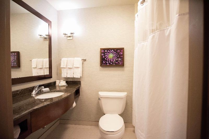 스탠다드 룸 킹사이즈 침대, Hilton Garden Inn Covington