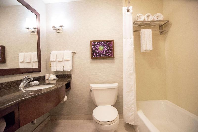 프리미엄 룸, Hilton Garden Inn Covington