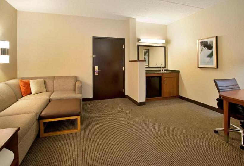 Номер Стандарт 2 Двуспальные Кровати, Hyatt Place Atlanta Airport North