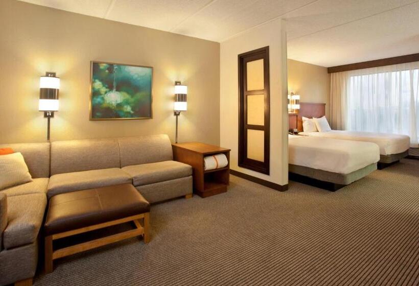스탠다드 룸 킹사이즈 침대, Hyatt Place Atlanta Airport North