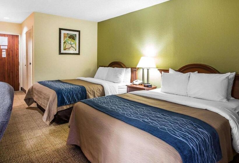 Номер Стандарт, Quality Inn Dariennorth Brunswick