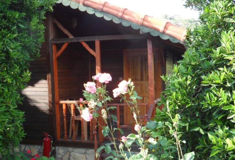 Бунгало Стандарт, Ugur Pansiyon Bungalows