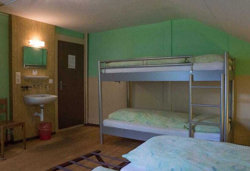 اتاق استاندارد چهارنفره با سرویس بهداشتی مشترک, Budget Waldhotel Unspunnen