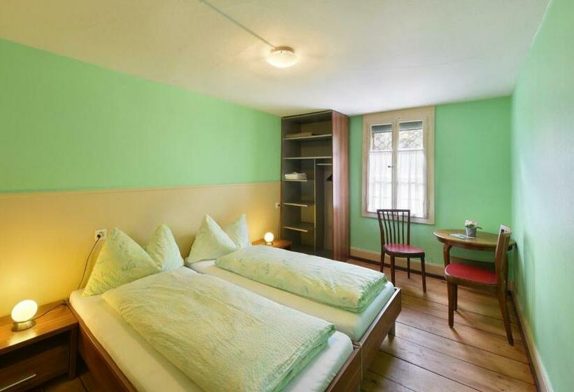 اتاق استاندارد با سرویس بهداشتی مشترک, Budget Waldhotel Unspunnen