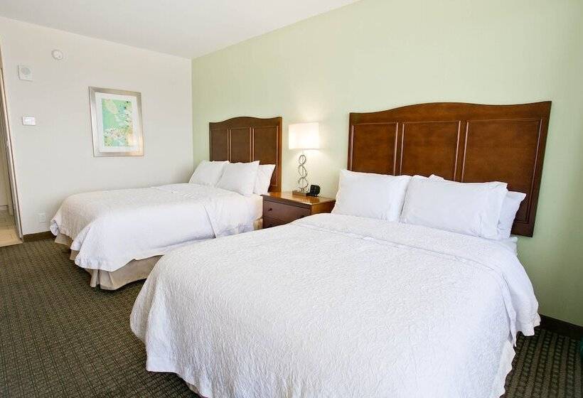 스탠다드 룸 더블 침대 2개, Hampton Inn & Suites Orange Beach/gulf Front