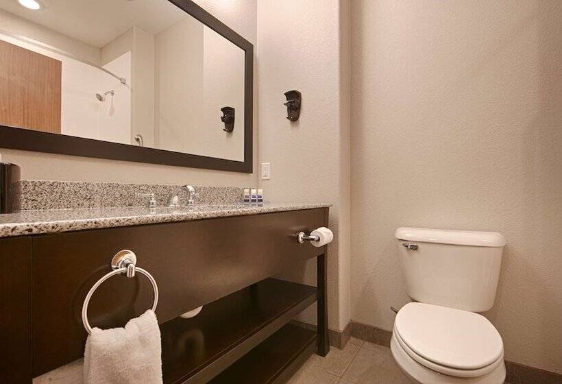Номер Стандарт, Best Western Plus Sand Bass Inn And Suites