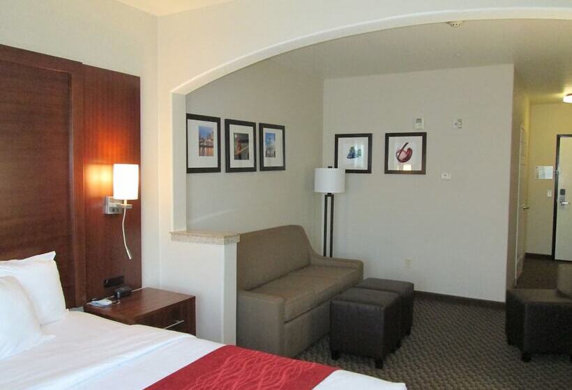 Номер Стандарт, Comfort Inn & Suites Galt   Lodi North