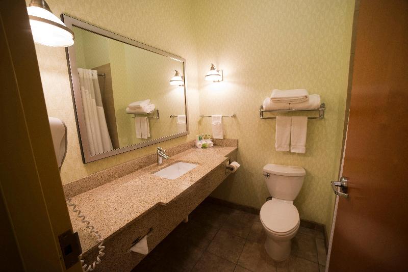 Люкс Кровать Кинг, Holiday Inn Express Hotel & Suites Atlanta East   Lithonia, An Ihg