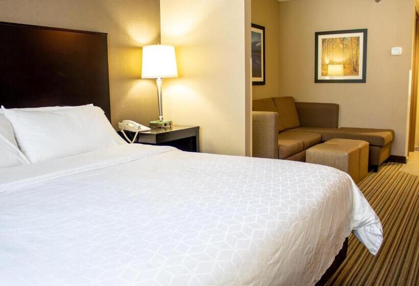 Люкс Кровать Кинг, Holiday Inn Express & Suites Hayward, An Ihg