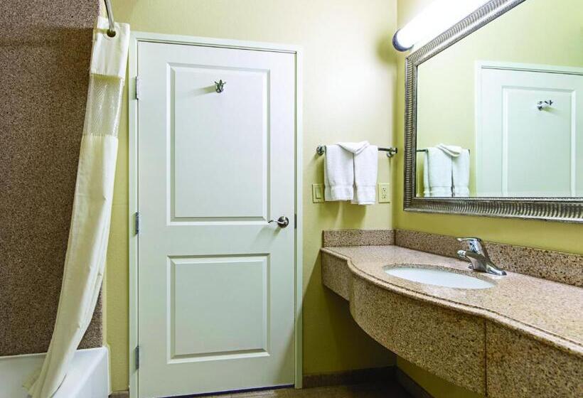 스탠다드 룸 킹사이즈 침대, La Quinta By Wyndham Houston New Caney