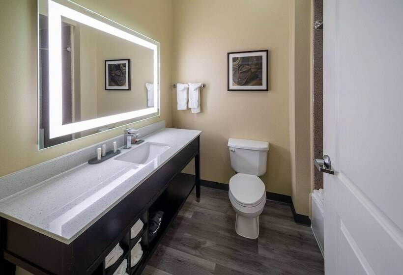 디럭스 스위트, La Quinta By Wyndham Houston New Caney