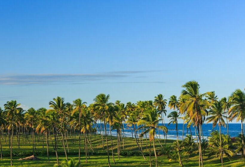 חדר סטנדרט לארבעה, Viva Porto De Galinhas Resort