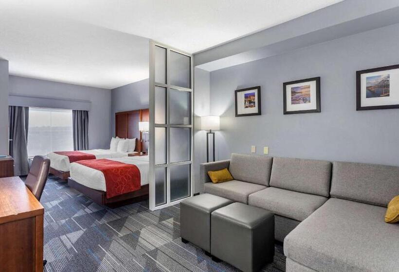 스탠다드 룸, Comfort Suites Olive Branch   Memphis South