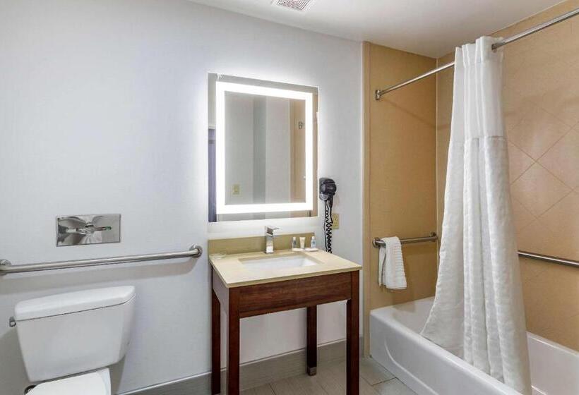 장애인을 위한 스위트, Comfort Suites Olive Branch   Memphis South