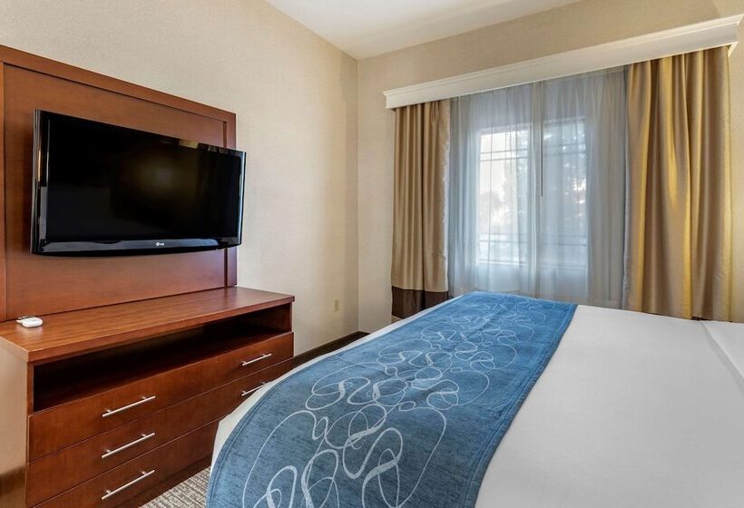 Люкс, Comfort Suites
