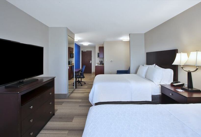 Люкс, Holiday Inn Express Niles, An Ihg