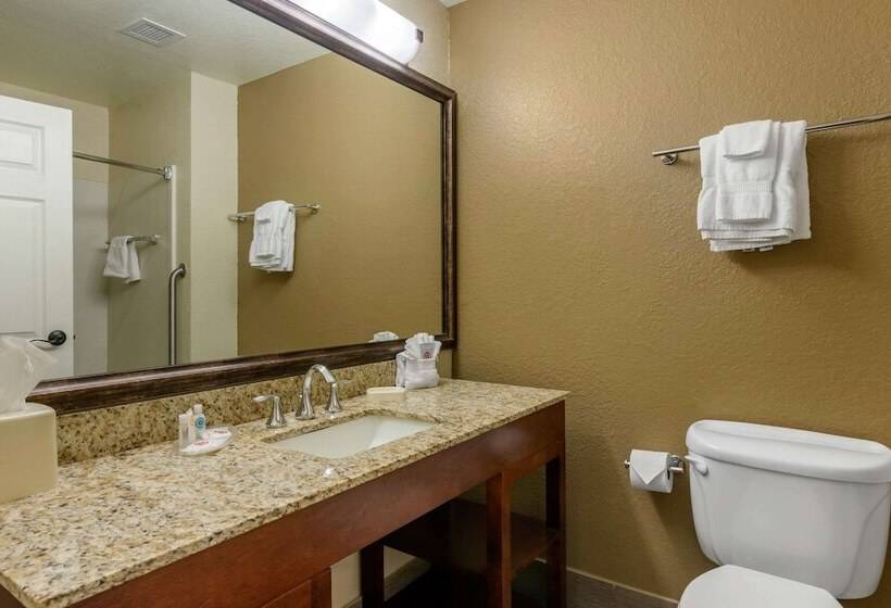Люкс, Comfort Suites The Villages