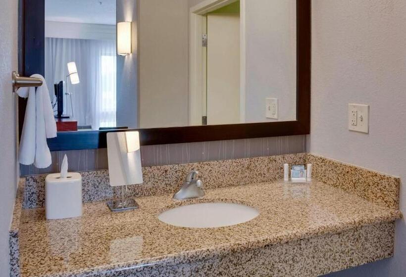 Стандартный Номер Кровать Кинг, Courtyard Statesville Mooresville/lake Norman