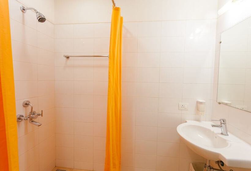 Номер Стандарт, Ginger  Vadodara