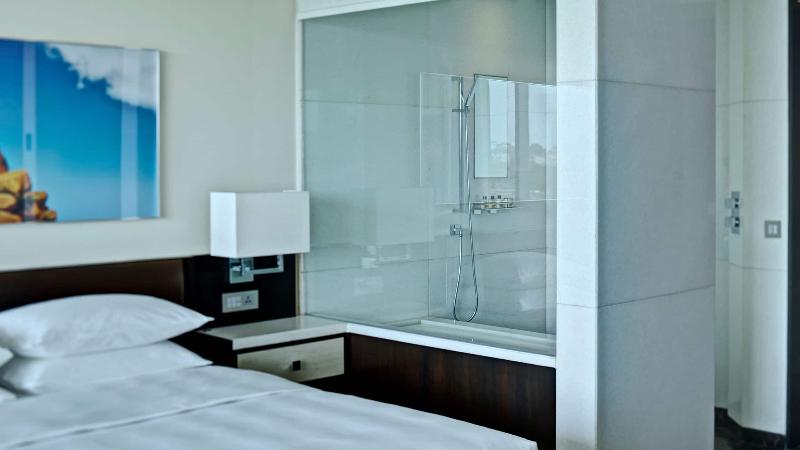 带大床的标准间, Park Hyatt Hotel And Residences, Hyderabad