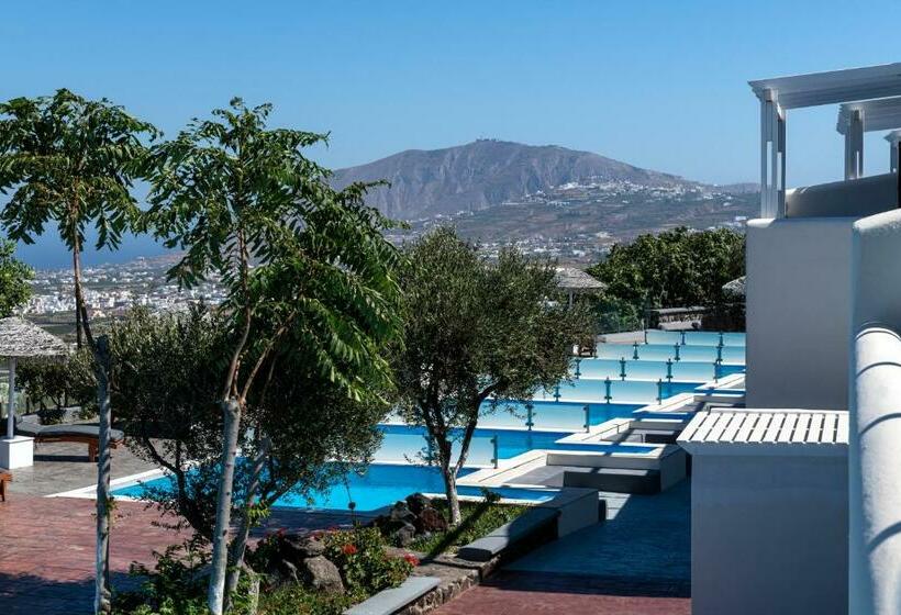 Полулюкс с Бассейном, Splendour Resort