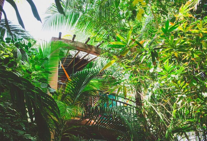 Junior Suite, Cocos Cabañas Playa Del Carmen Adults Only