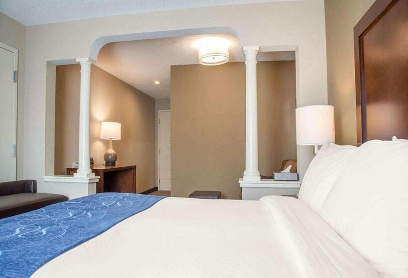 Люкс Адаптированный для Инвалидов, Comfort Suites West Warwick  Providence