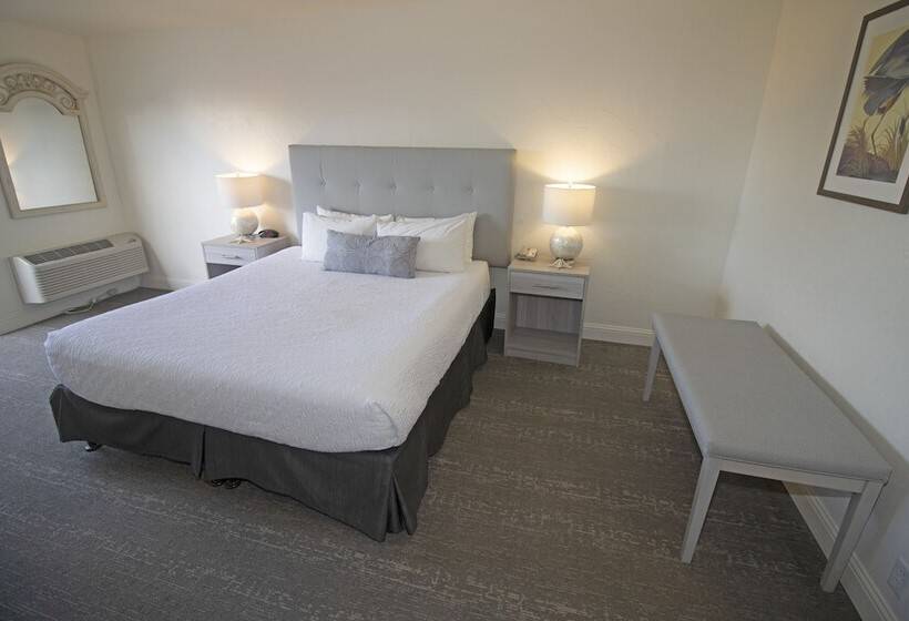 Стандартный Номер Кровать Кинг, La Serena Inn
