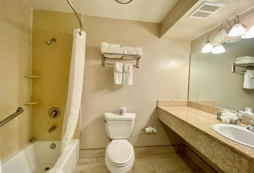 이그제큐티브 스위트, Morro Shores Inn And Suites