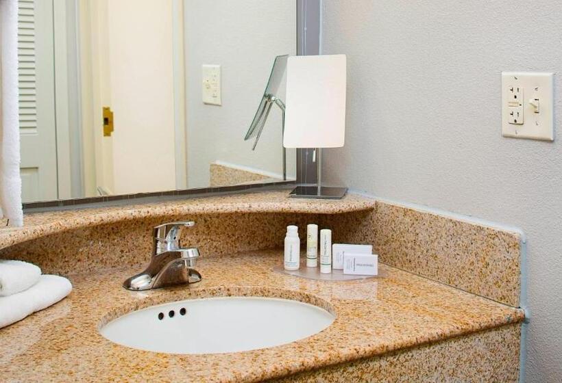 장애인을 위한 킹사이즈 침대 스탠다드 룸, Courtyard By Marriott Roanoke Airport