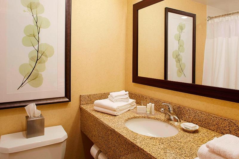 Номер Стандарт, Courtyard By Marriott Ithaca Airport/university