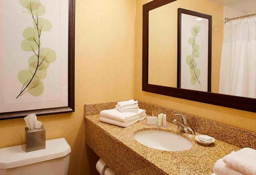 Номер Стандарт Кровать Кинг Адаптированный для Инвалидов, Courtyard By Marriott Ithaca Airport/university